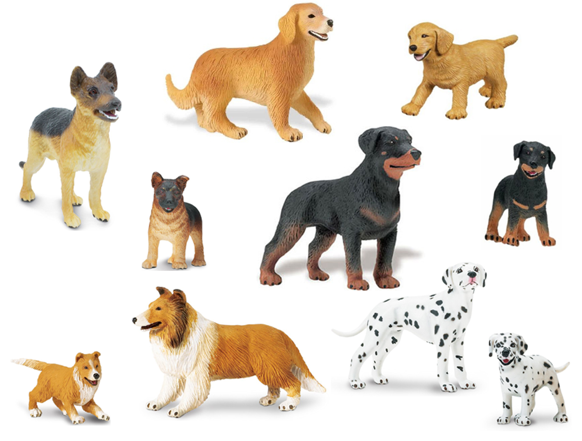 puppy toob education essentials safari ltd pedigree set puppy toob education essentials safari ltd pedigree set