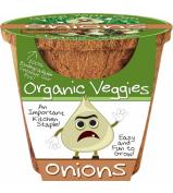 DuneCraft Organic Veggie Pots - Onion 