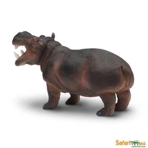 Education Essentials - Safari Ltd Hippopotamus