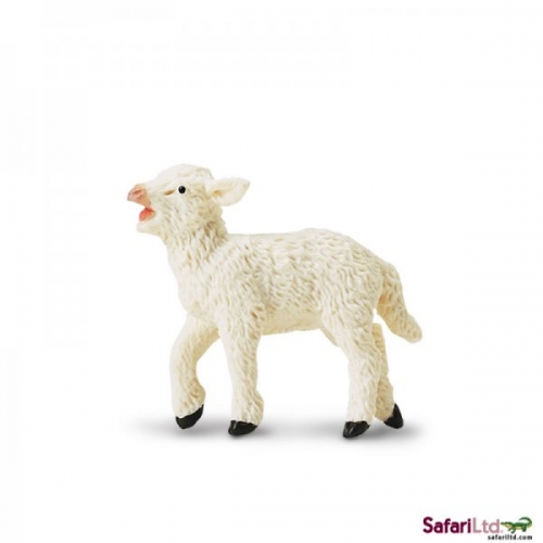 Safari Ltd Lamb
