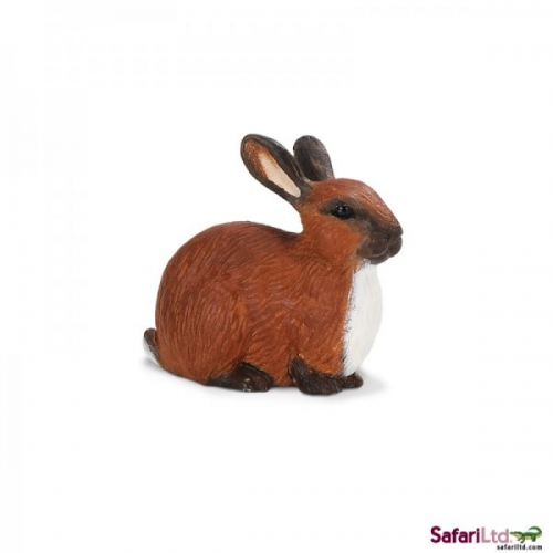 Safari Ltd Rabbit