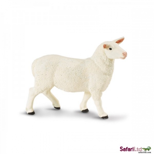 Safari Ltd Ewe