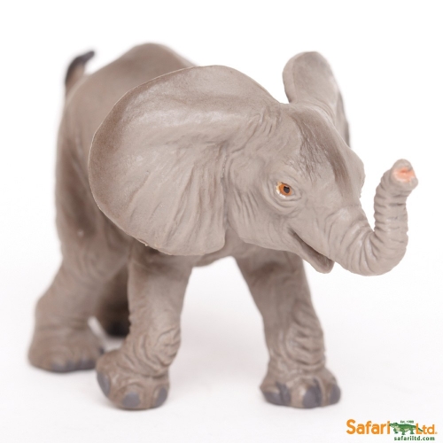 Education Essentials Safari Ltd African Baby Elephant