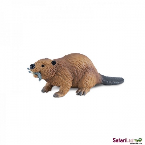 Safari Ltd Beaver