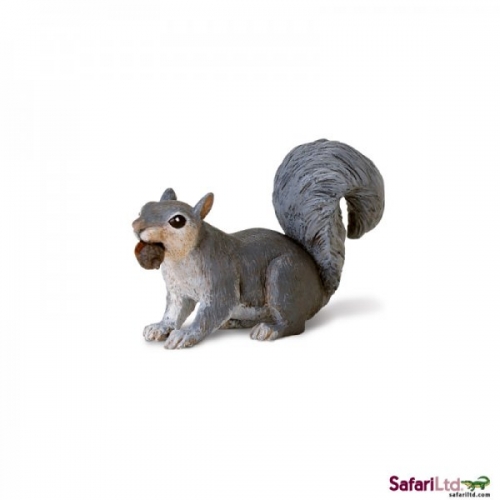 Safari Ltd Grey Squirrel