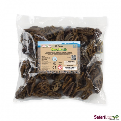 Safari Ltd Dino Skulls Bulk Bag