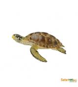 Safari Ltd Loggerhead Turtle