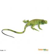 Safari Ltd Iguana Baby