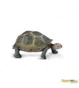 Safari Ltd Desert Tortoise