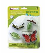 Safari Ltd Life Cycle of a Monarch Butterfly