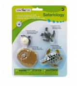 Safari Ltd Life Cycle Of A Green Sea Turtle