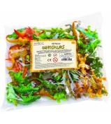 Safari Ltd Dinosaur Bulk Bag