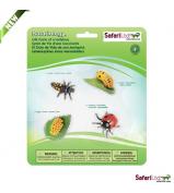 Safari Ltd Life Cycle Of A Ladybug