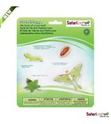 Safari Ltd Life Cycle Of A Luna Moth