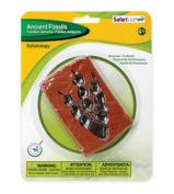 Safari Ltd Dinosaur Footprint Fossil